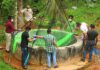 Monitoring of Nipah Virus infection NIPAH