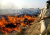 Ban on Crop Residue Burning paddy