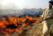 Ban on Crop Residue Burning paddy