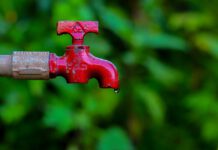 ‘Samagra Shiksha-Jal Suraksha’ Drive for School Students savewater