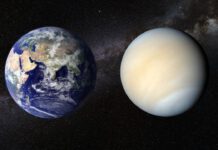 Life in Venus : more about habitable environment