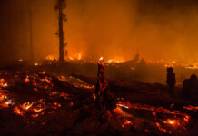 Indonesian Skies Turns Blood Red