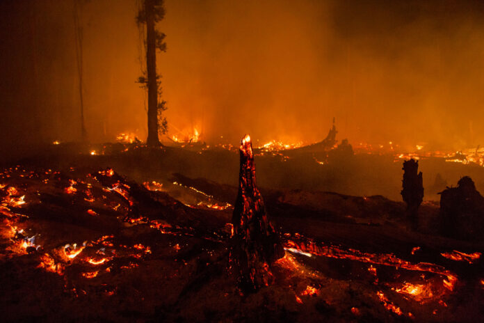 Indonesia Burning