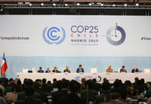 COP25:UN Climate Change Conference Updates