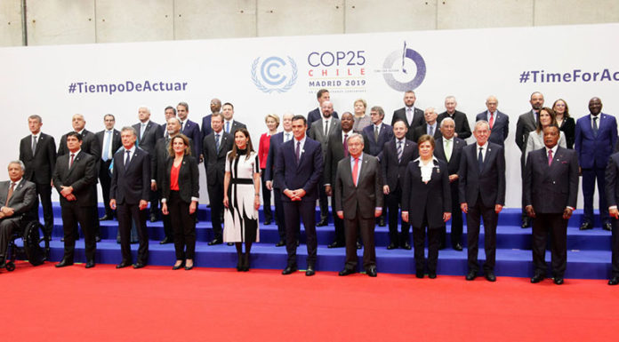 COP25 Decisions and next step to Action