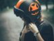 SAVE LIVES, SAVE MONEY Stringent fine for law breakers, Helmet for pillion in two wheeler rides